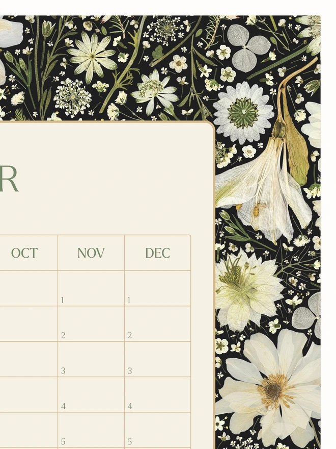 Botanical-Inspired Yearless Planner. Memory Calendar Featuring Delicate Pressed White Flowers – Ideal for organizing in style. Perfect for anyone who enjoys gardening or floral art; a meaningful gift for Mother's Day or Christmas.