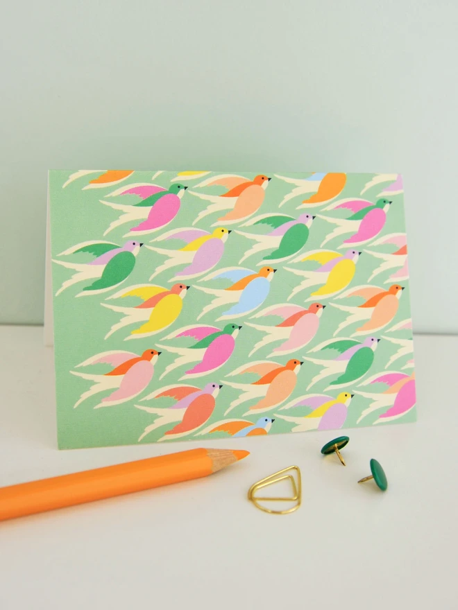 Birds Illustrated Notecard Pack