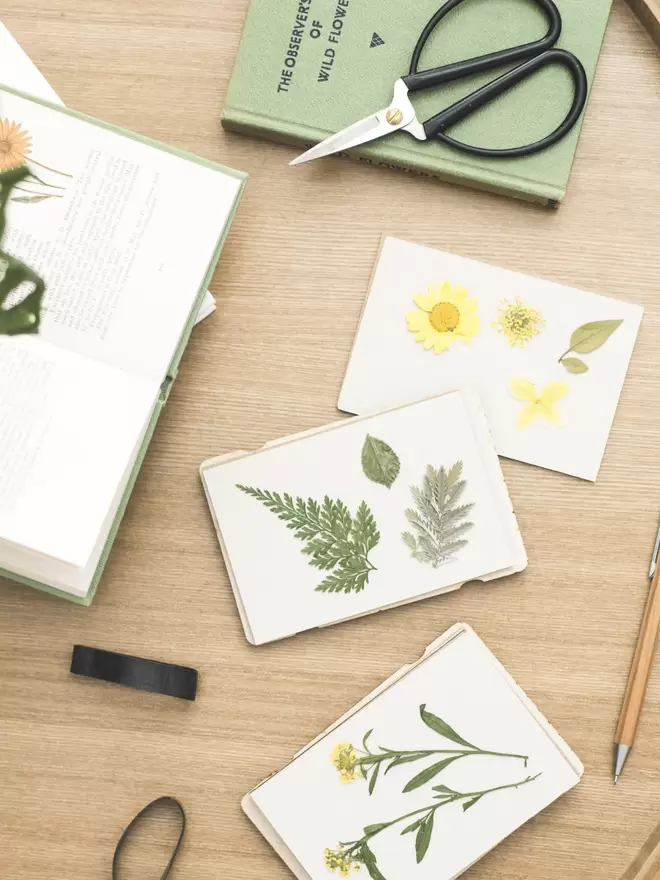 Pressed flowers and leaves inside a mini flower press