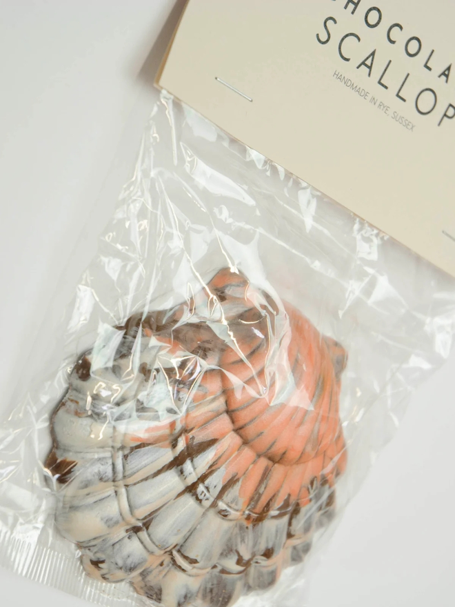 Chocolate scallop shell