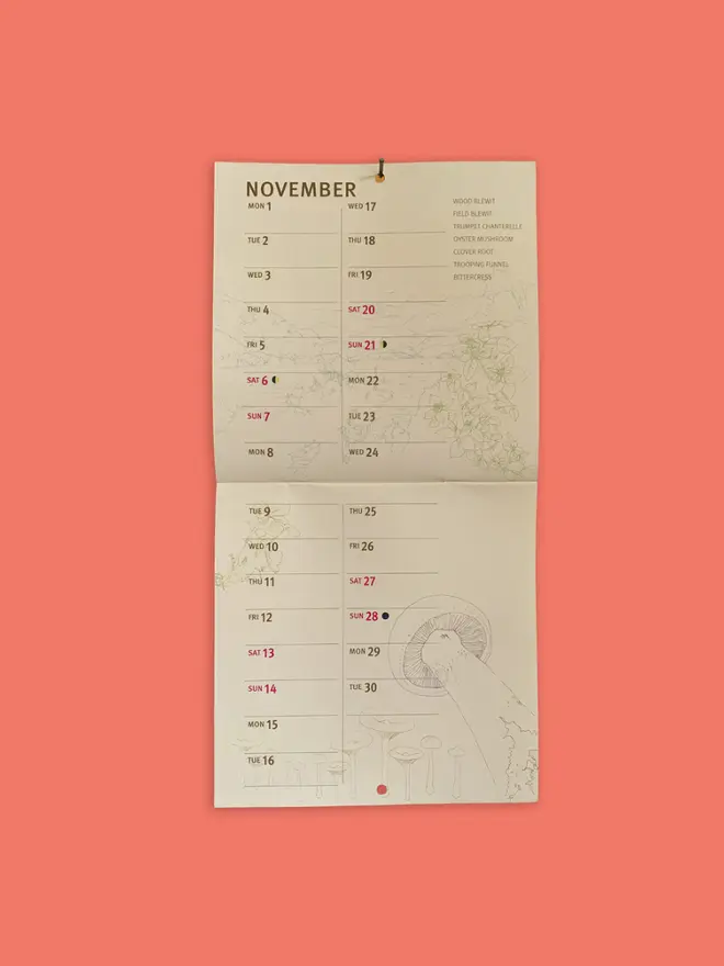 Fungi, Berries & Wild Plants 2027 Calendar, on a pink background. 