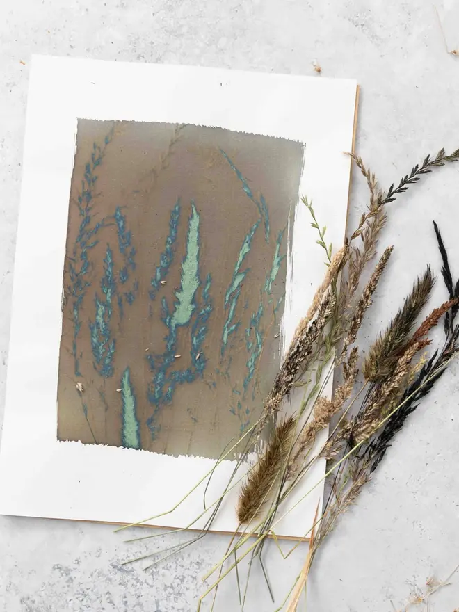 A3 Cyanotype Paper To Create Beautiful Prints With Sunlight