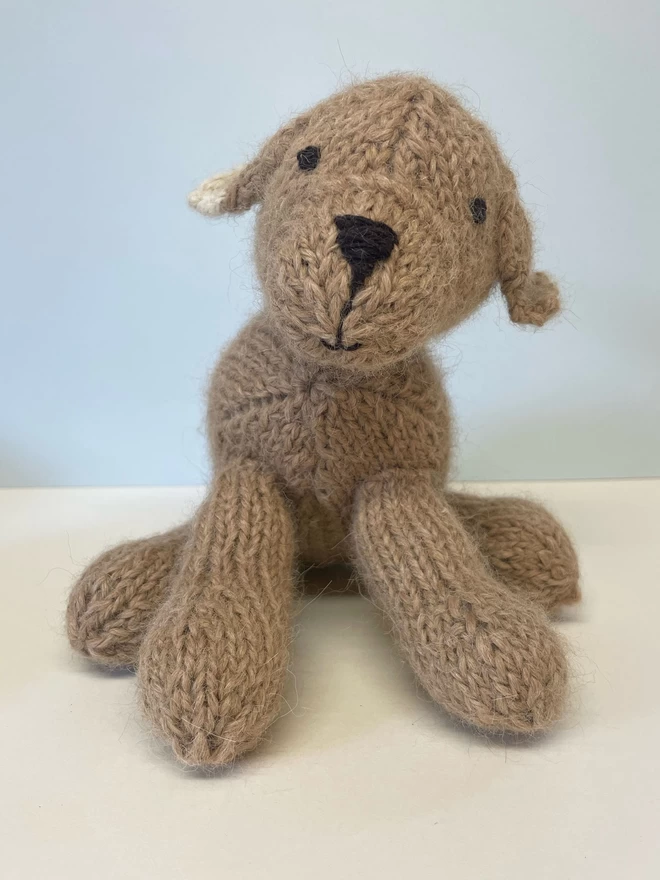 Front of Hand Knitted Dog