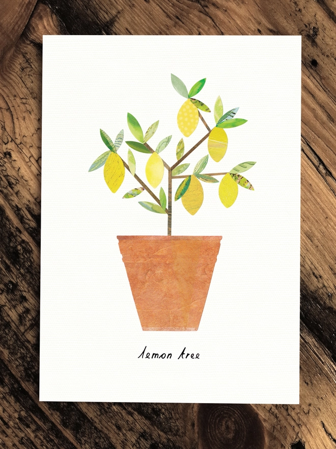 Lemon Tree Greeting Card with House Plant Care Tips by Lianne Harrison of Paperwhale Cards