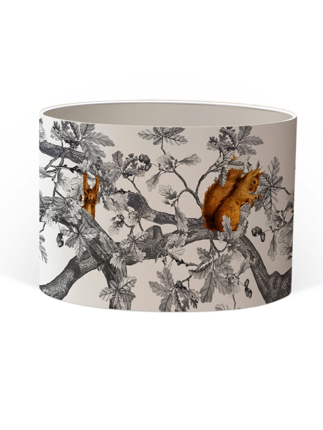 A decorative lampshade featuring red squirrels among oak leaves and acorns, inspired by the British countryside and woodland wildlife.