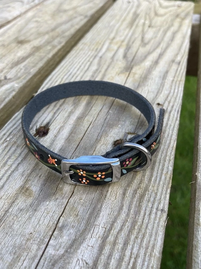 Puppy Collar and Leash/Lead Set