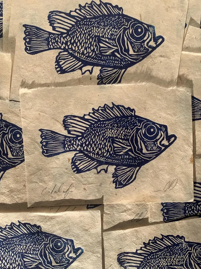 Lino Print Popeye Catalufa Fish On Handmade Paper