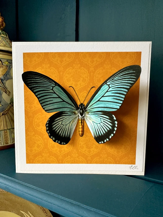 A bright, hand made card featuring a giant, blue, swallowtail butterfly on a vibrant, orange, background. The butterflies wings measure 12cm in width and have been hand cut. This makes the butterfly wings 3D when displayed and pulled forward. The card is displayed on a petrol blue dresser.The card is perfect for nature lovers.