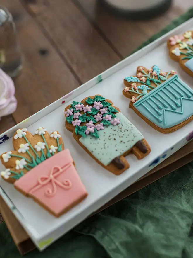 House Plant Biscuit Gift Set