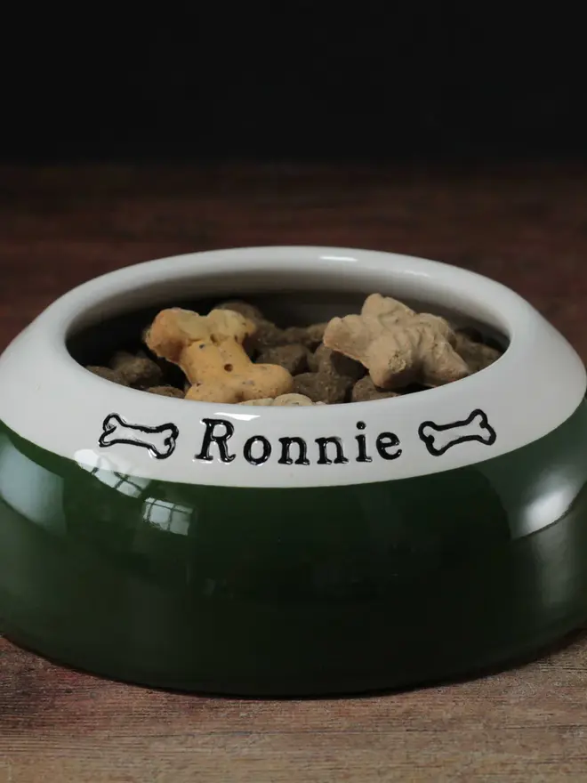 Cavalier King Charles Bowl Ear Free Bowl 