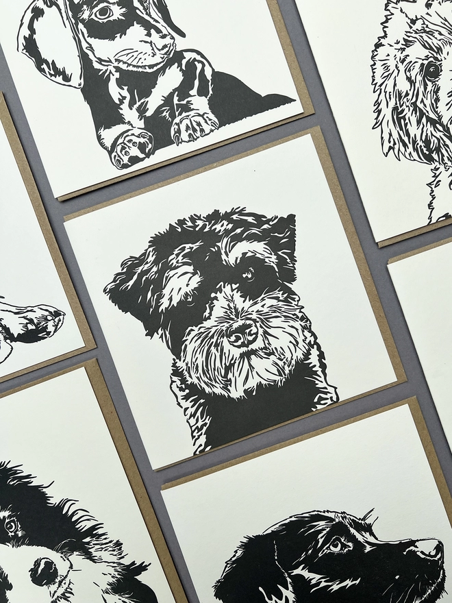 Schnauzer big card with all the other dogs we have to offer around it