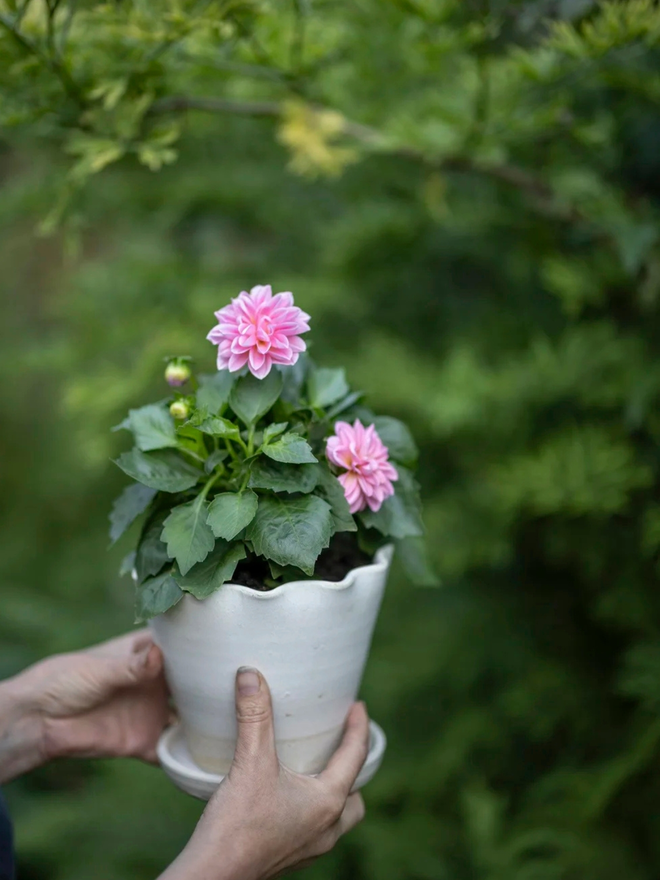 fluted porcelain flower pot