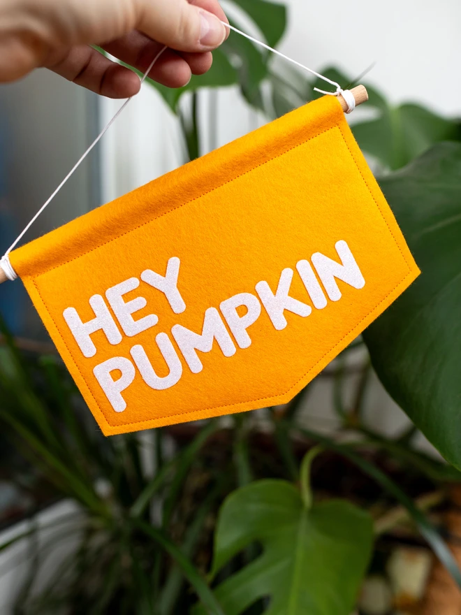 Orange, felt banner with the words "Hey Pumpkin" written on it in white glitter felt