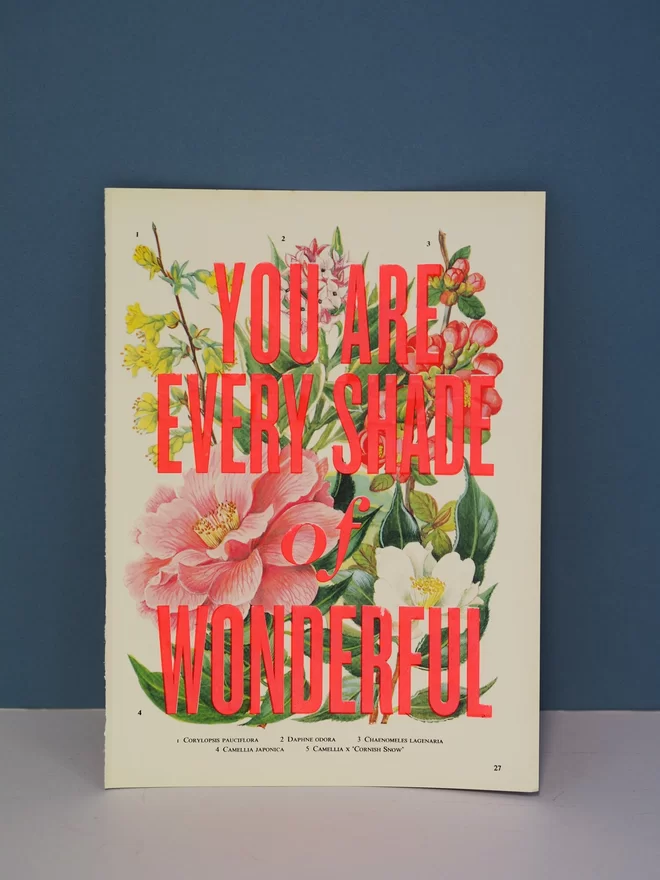Photograph of a hand holding a beautiful floral screen print. Hand screen printed flouro typography over vintage illustration of a flowers with the word You are every shade of wonderful over the top