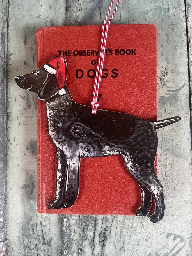 German Shorthaired Pointer Dog Christmas Decoration Liver Brown Red hung with red and white twine wearing a santa hat placed on a red book about dogs