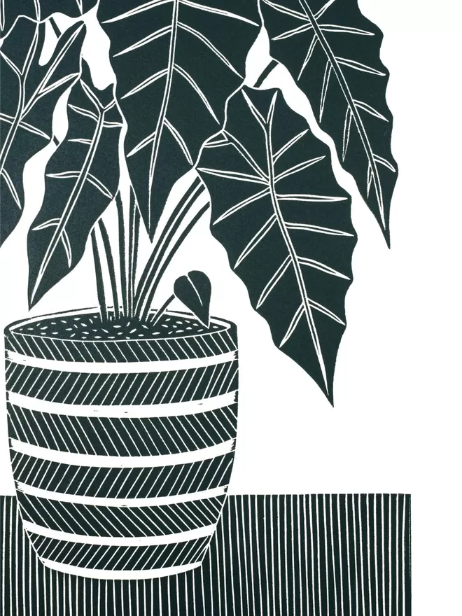 Picture of an African Mask Plant, taken from an original Lino Print 