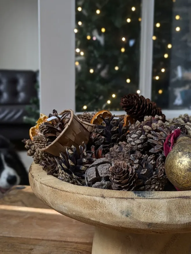 	 pinecone fire starters in bowl
