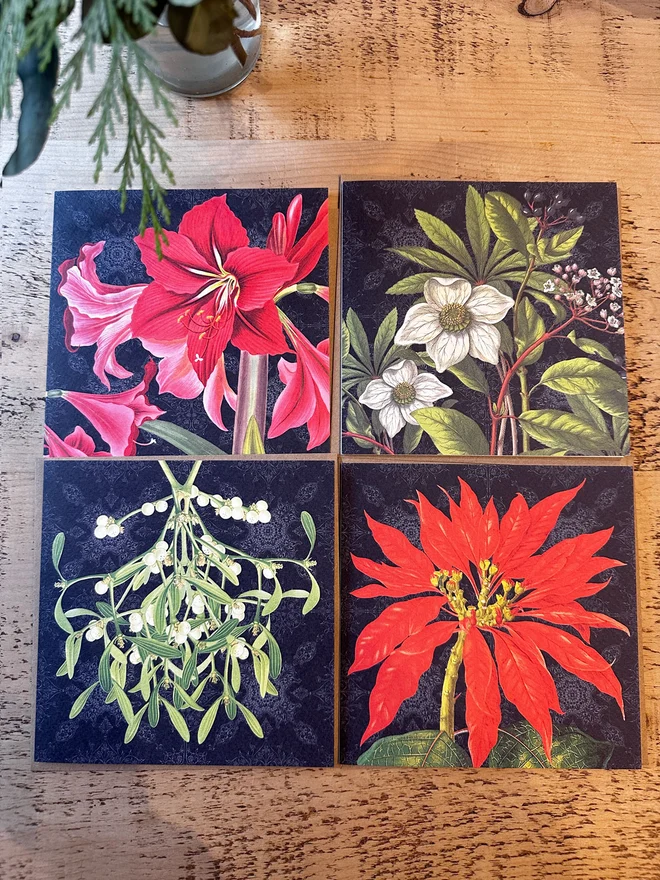 A set of Botanical Christmas cards showing the 4 designs of an Amaryllis, Mistletoe, Christmas Rose and Poinsettia. The floral designs are set on a black background which gives a traditional look and makes the design stand out. The card set is laid flat on table to show the different designs in the set, including an Amaryllis, Christmas Rose, Mistletoe and Poinsettia cards.