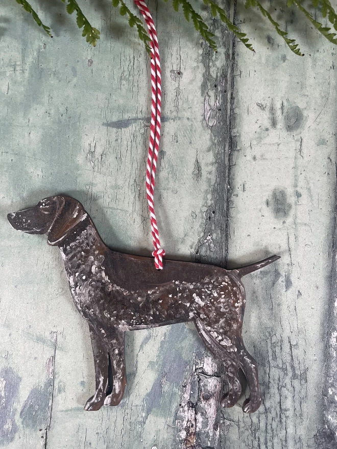 A dog portrait decoration with red and white twine