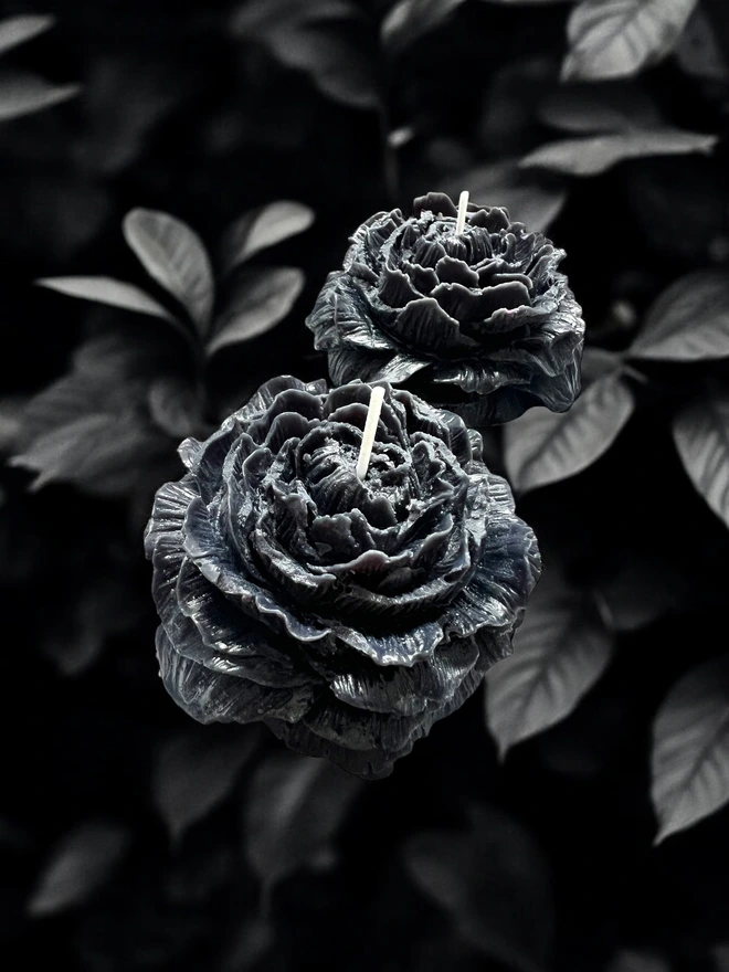 WEDNESDAY'S GARDEN BLACK PEONY CANDLE