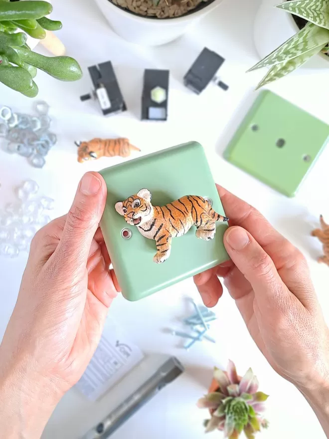 A pair of hands hold a Beryl Green LED light switch with a tiger cub in the centre, the tiger acts as the dimmer switch knob. The light switch plate is made of epoxy coated steel, the tiger is made of plastic. The dimmer switch brand is Candy Queen Designs. In front of the light switch on a white tabletop there is a box spanner, a selection of nuts, light switch modules, screws, another tiger and an instruction leaflet. There are three succulent plants in white plant pots and two tiny succulent plants in terracotta pots.