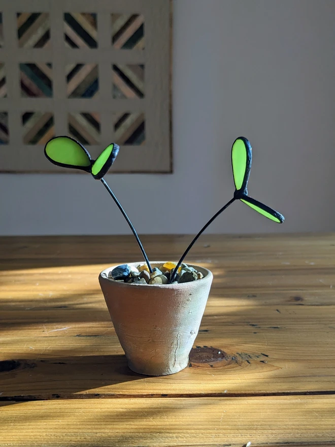 Stained glass seedlings in terracotta pot