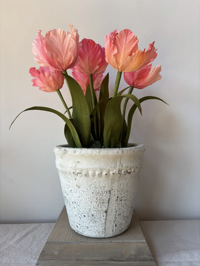 set of 6 paper tulips in coral mix