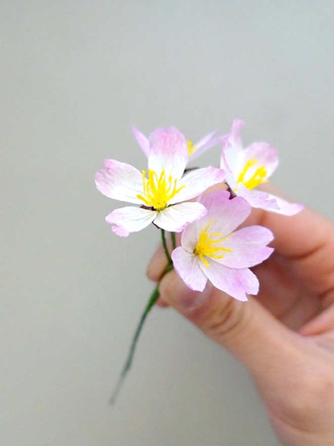 Crepe Paper Cherry Blossom - Sakura
