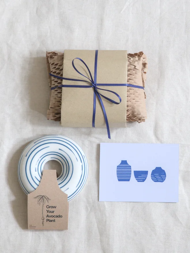 Avocado Planter Wrapped in Gift Wrap- Unique Ceramic Plant Pot & Home Decor Gift