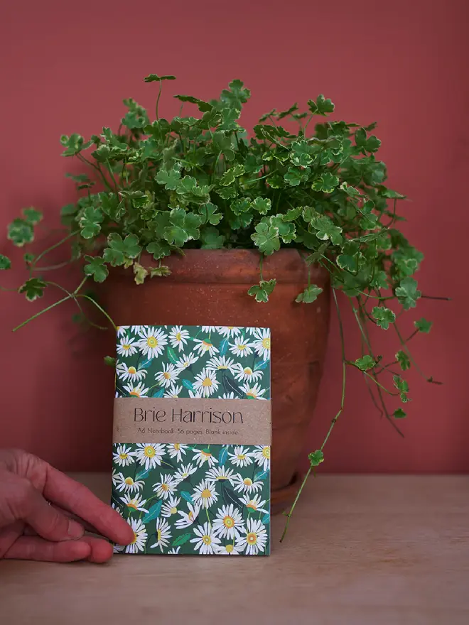 illustrated daisy notebook