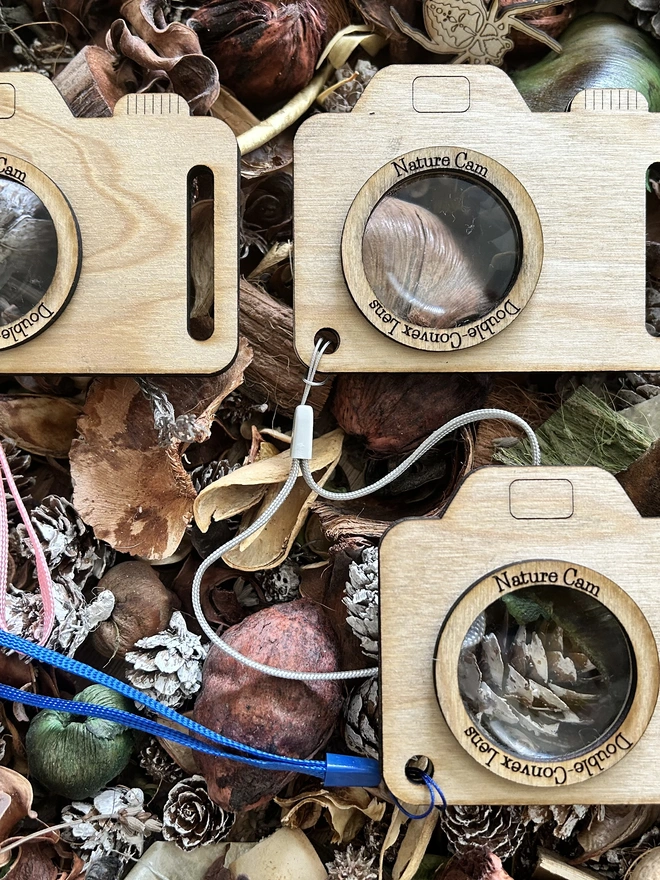 Set of three nature cameras on a woodland floor