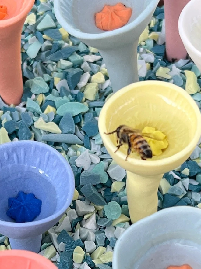Bee Cup For Thirsty Pollinators Watering Stations 