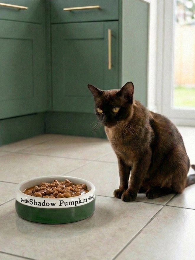 Personalised ceramic cat bowl