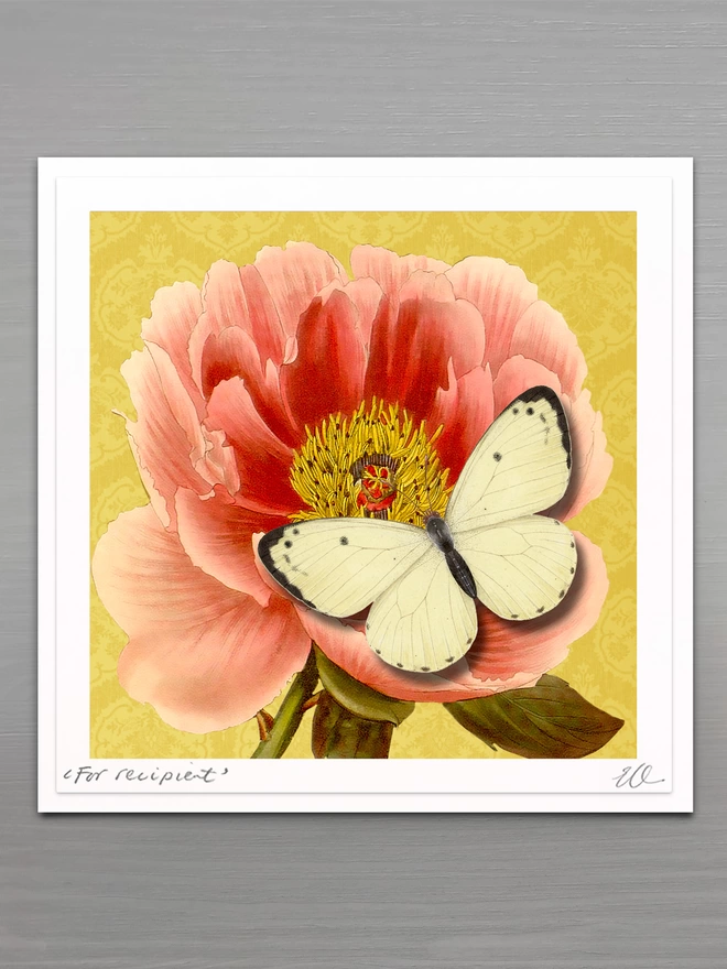 High quality butterflygram card with hand cut paper butterfly, personalised and signed