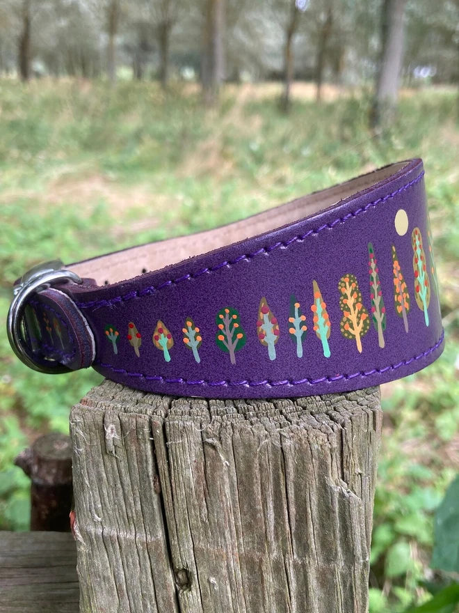 purple hand painted leather dog collar