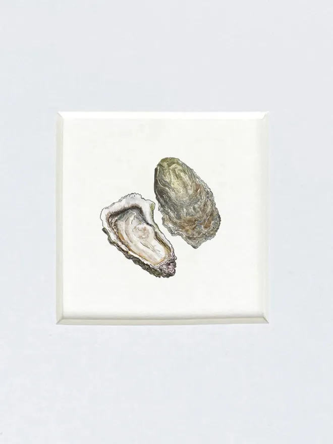 Oysters Tiny Print