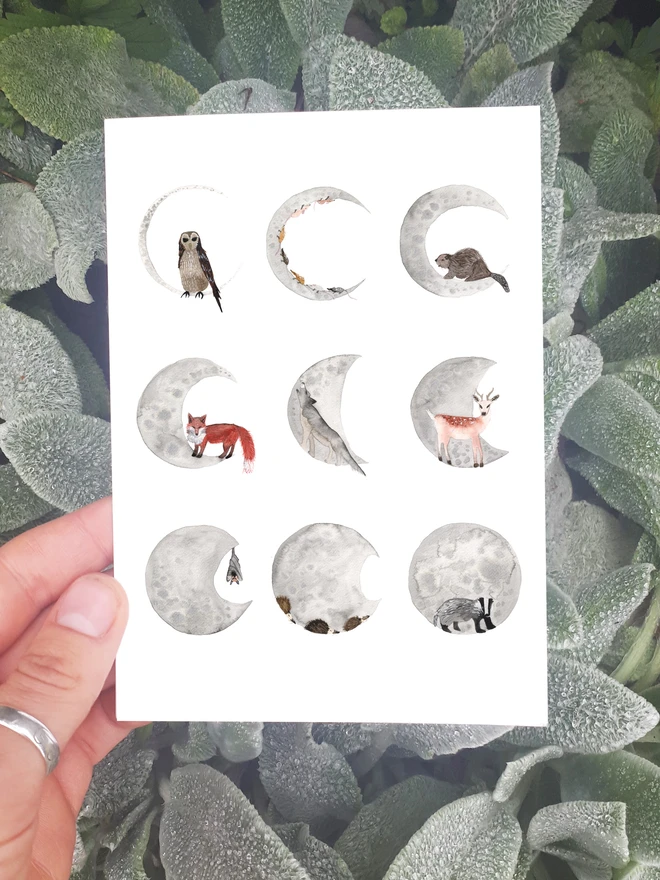  Moon Phase – Nocturnal Animals Greetings Card