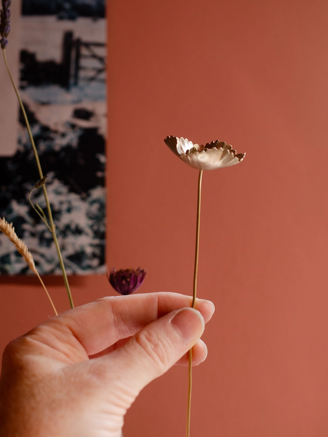 andmade Brass Cupcake Cosmos Stem By Ellenlou