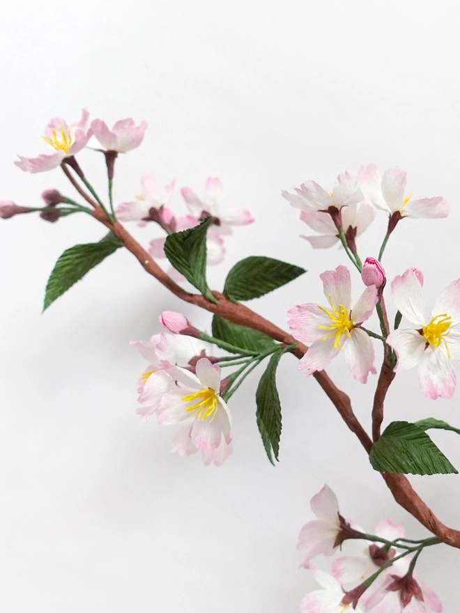 Crepe Paper Cherry Blossom - Sakura