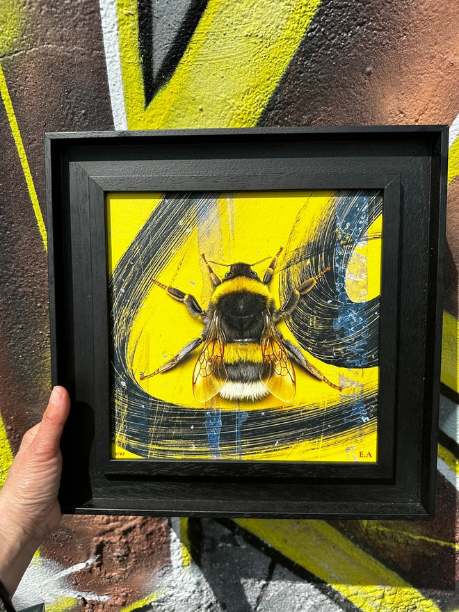Bumblebee painting in a black St Ives frame, held up against a graffiti wall, showing the inspiration it came from.