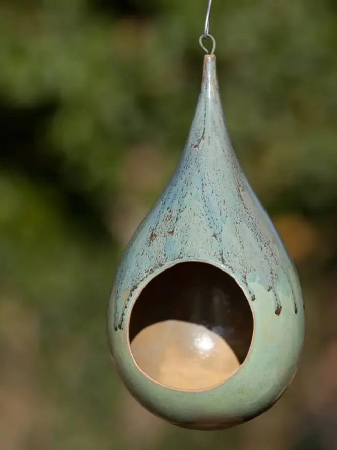Bird Feeder Large Hole