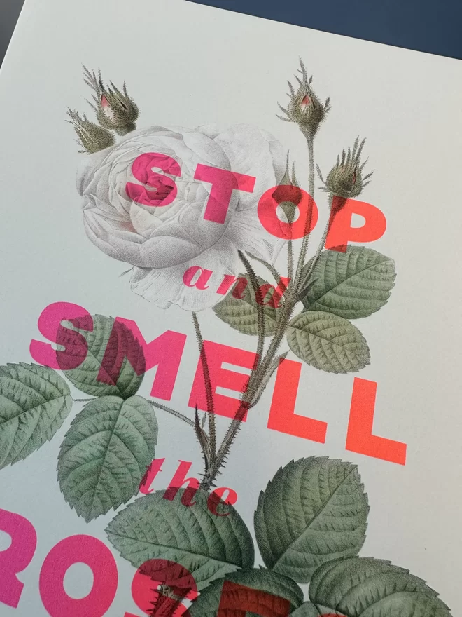Close up of a screen print showing a beautiful floral pink rose with the words 'Stop and smell the roses' screen printed in flouro pink in over the top of the botanical illustration.