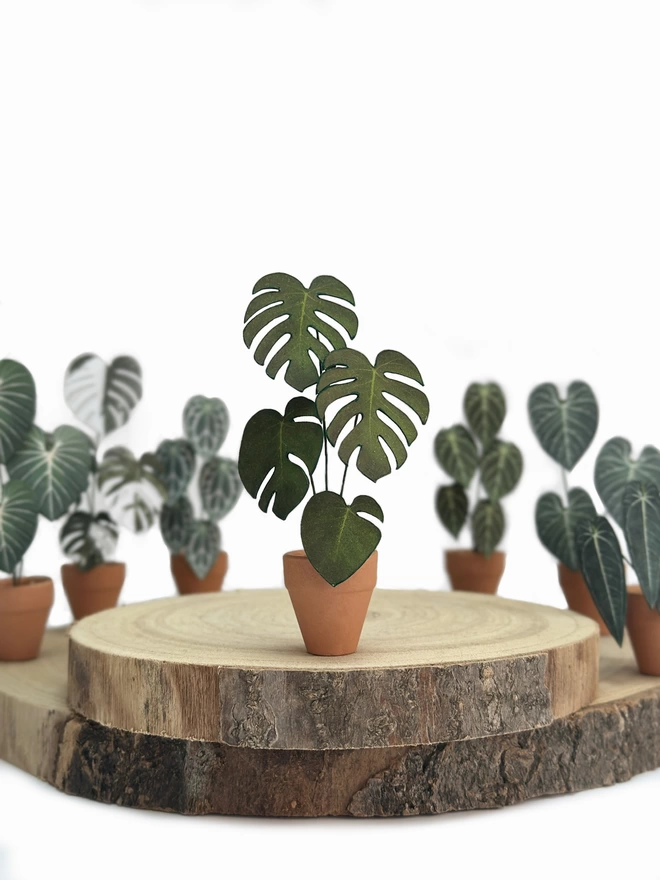 A miniature replica Monstera Deliciosa paper plant ornament in a terracotta pot sat on 2 wooden log slices with other paper plants in the background against a white background