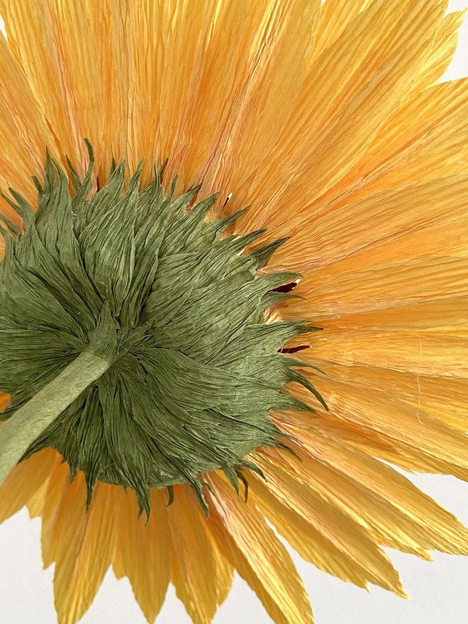 Crepe Paper Sun Flower DIY Kit