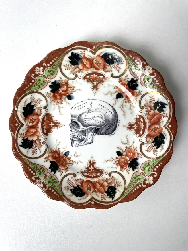 an ornate vintage china plate a pretty border and in teh centre is a vintage victorian illustration of an anatomical skull