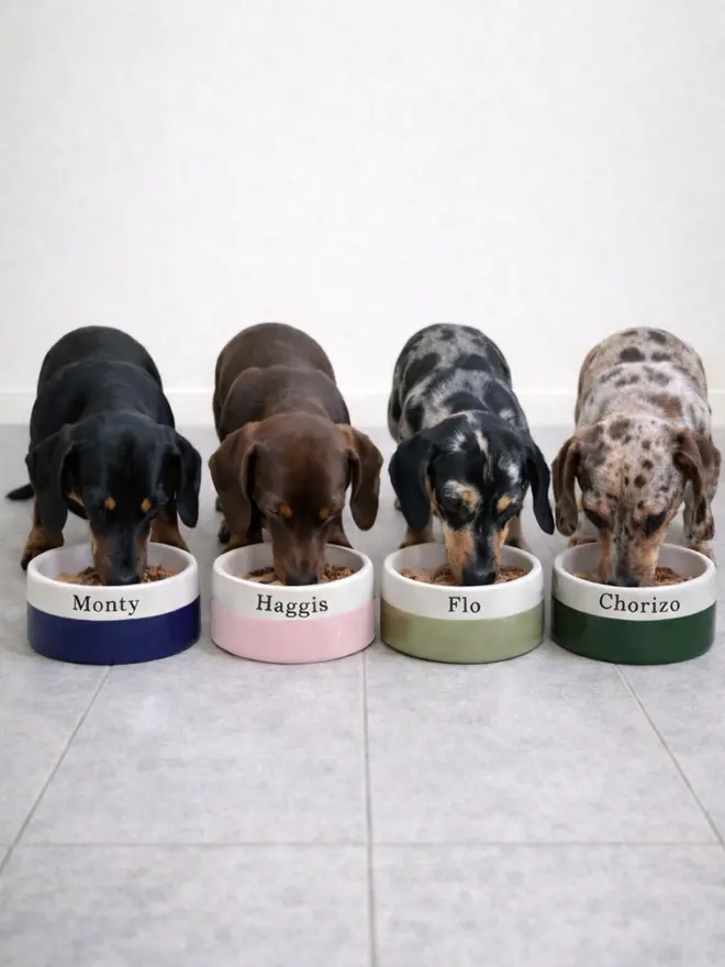 Small handmade dog bowls 