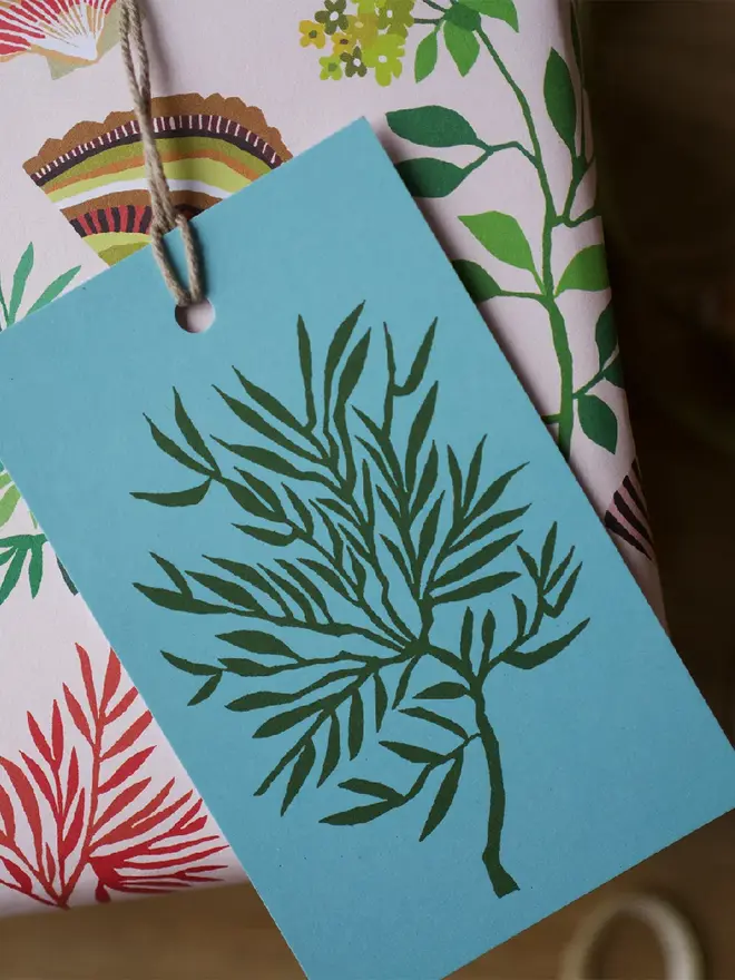 illustrated shells gift tags