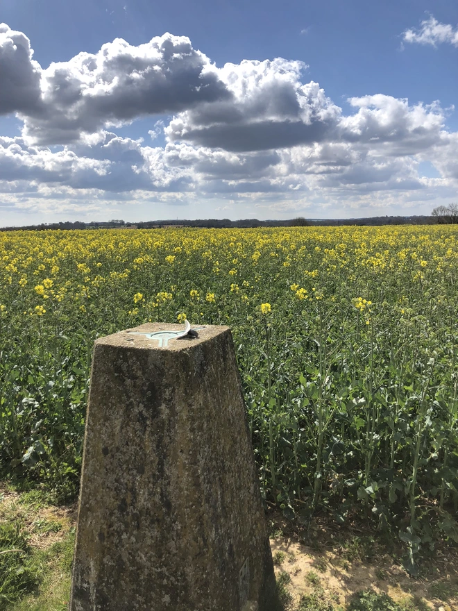 The Hampshire Hangers