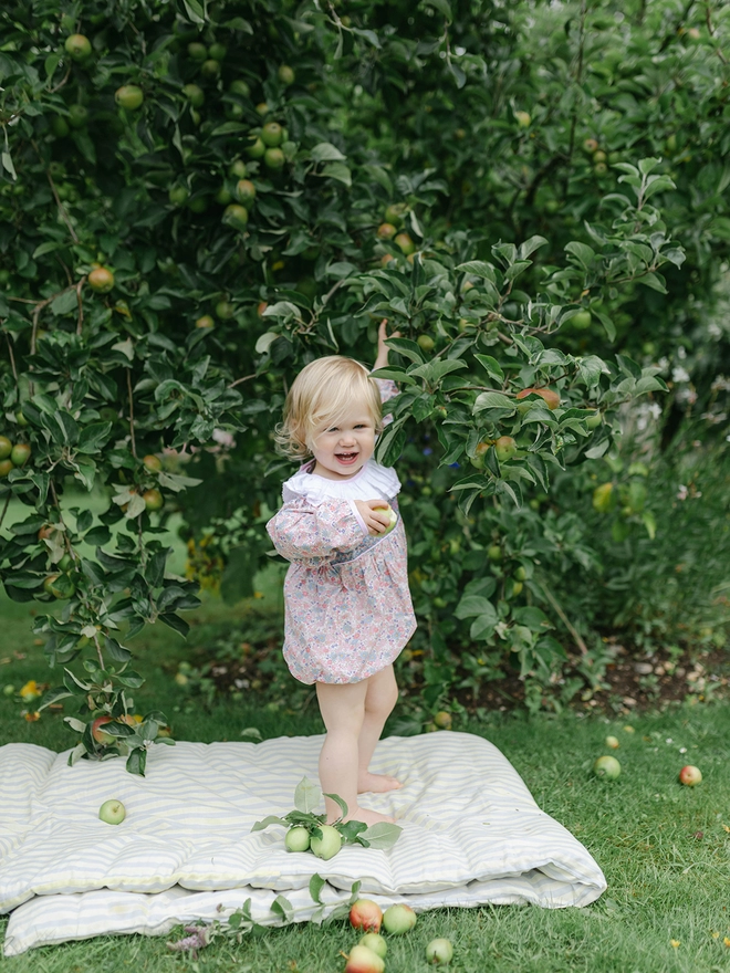 A little girl in a floral smocked romper with a white frilled collar grabs apples off a tree