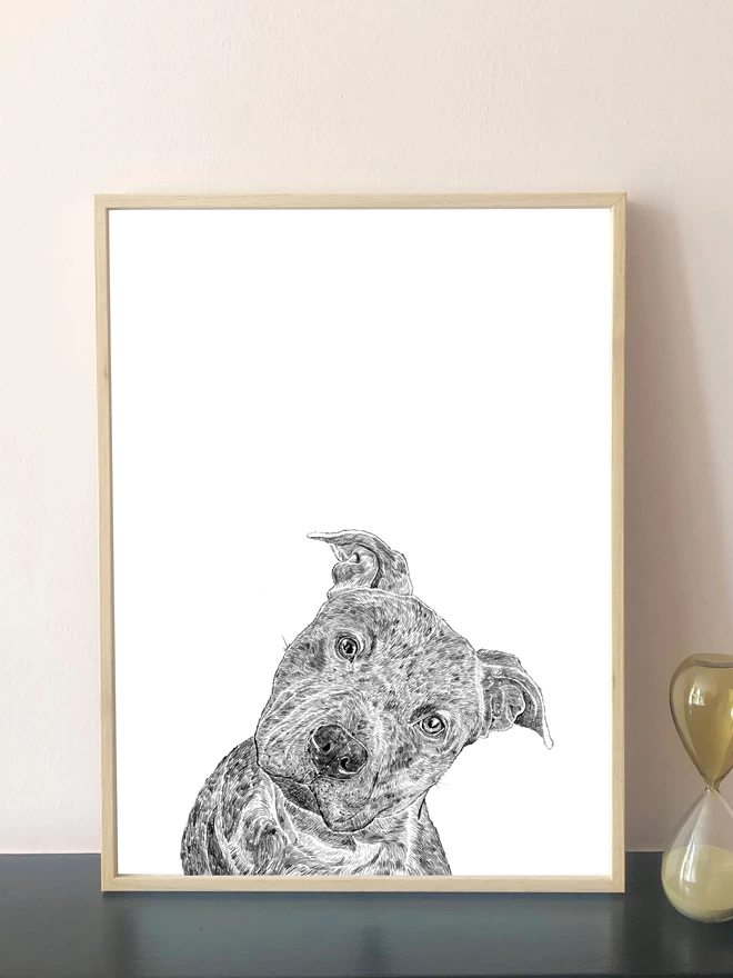 Artwork of hand drawn portrait of a staffordshire bull terrier displayed in a frame